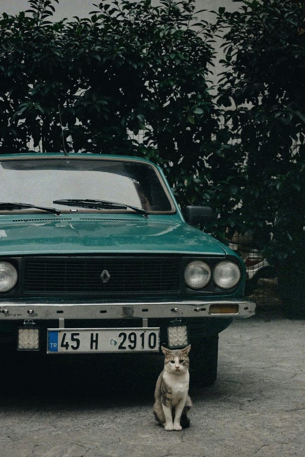 Déclarer efficacement un sinistre renault : nos conseils essentiels